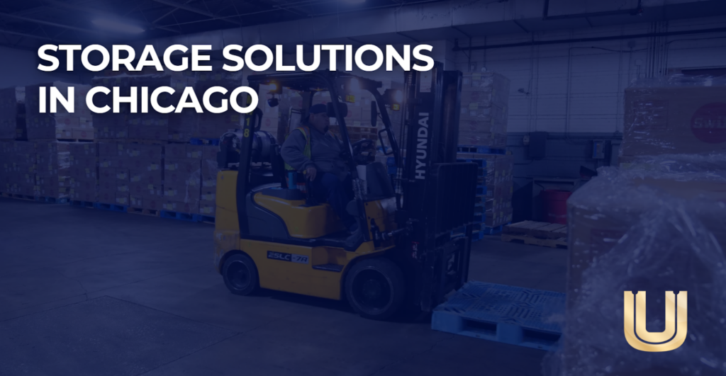 storage chicago​